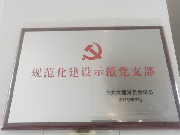 2019年3月获中共大理州委组织部“规范化建设示范党支部”荣誉称号(图1)