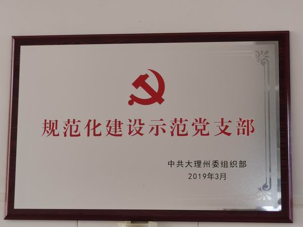 2019年3月，被中共大理州委组织部命名为“规范化建设示范党支部”(图1)